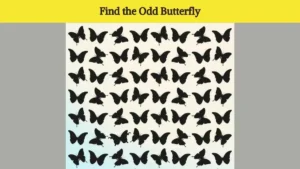 Optical Illusion Eye Test: Find the odd butterfly in the picture in 5 seconds!