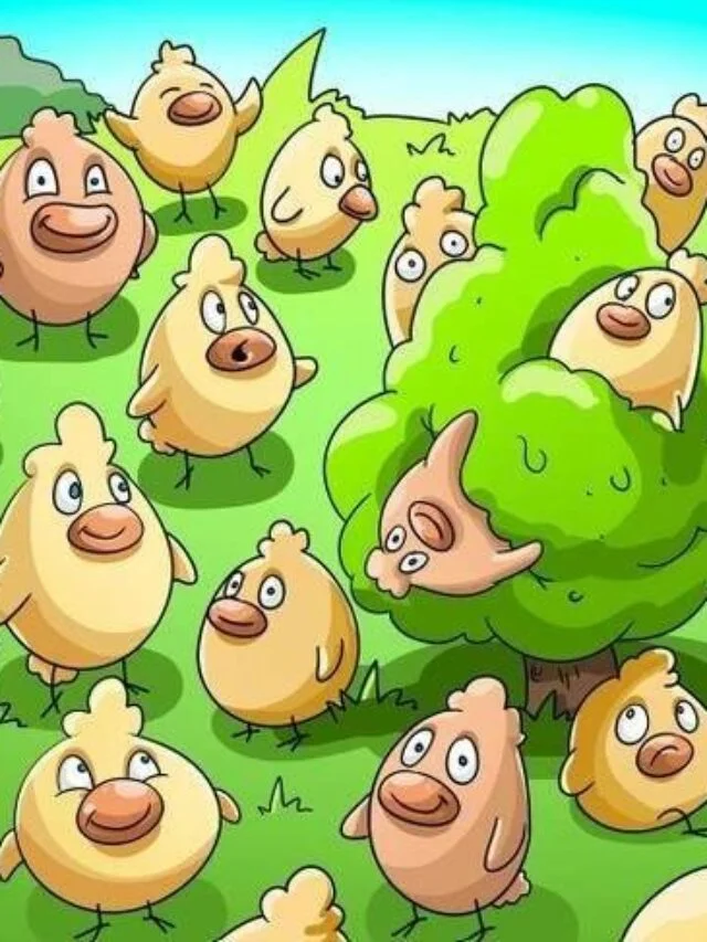 Optical Illusion for IQ Test: Only 1% Can Spot the Pig Hidden Among Chickens in the Picture within 7 secs!