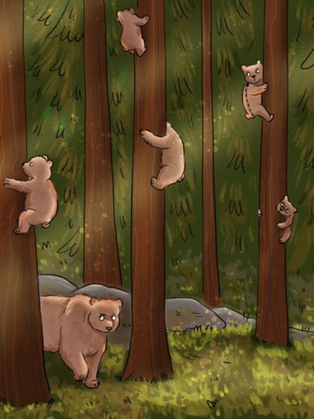 Optical Illusion for IQ Testing: Only 1% can find the Human hiding amid Bears in Jungle Picture in 11 seconds!